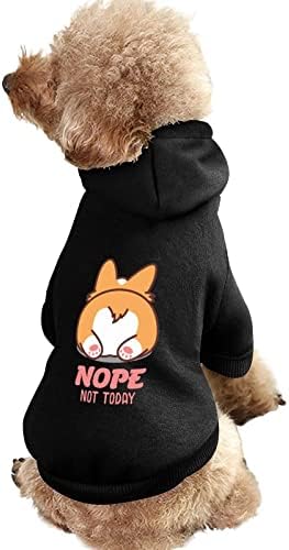 לא היום לא היום קפוצ'ונים של כלב התחת הקורגי עם סווטשירט חמוד חיות חיות חיות חליפה עם כובע