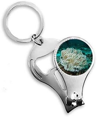מדוזות ירוקות אוקיינוס ​​מדעי טבע ציפורניים ניפר טבעת מפתח שרשרת בקבוק פותחן
