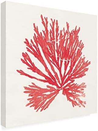 סימן מסחרי אמנות 'פסיפיק ים מוסס II אדום' אמנות בד מאת תיק תפוחים פראי 24x24